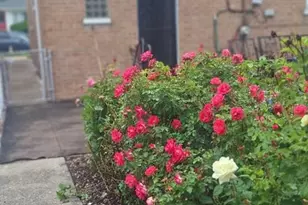 9351 S Normal Ave, Chicago, IL 60620 - Photo 13