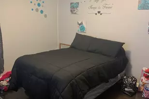 14819 Champlain Ave, Dolton, IL 60419 - Photo 13