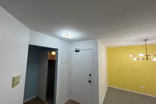 867 E Carriage Ln, Palatine, IL 60074 - Photo 19