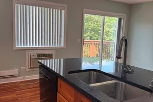 717 Strom Dr, West Dundee, IL 60118 - Photo 9