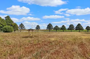 1190 N 1400 East Rd, Bement, IL 61813 - Photo 47