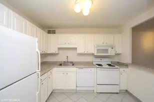 211 E Ohio St, Chicago, IL 60611 - Photo 5