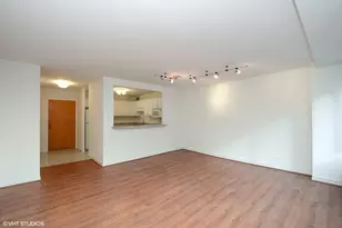 211 E Ohio St, Chicago, IL 60611 - Photo 3
