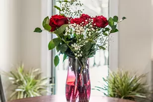 208 Brookdale Ln, Palatine, IL 60067 - Photo 17