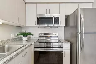 512 N McClurg Ct, Chicago, IL 60611 - Photo 13