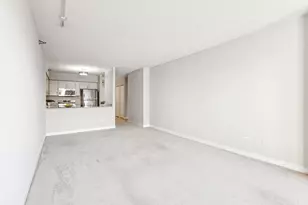 512 N McClurg Ct, Chicago, IL 60611 - Photo 7