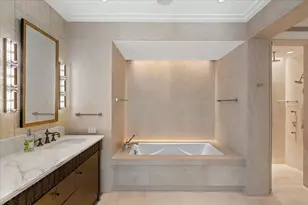 159 E Walton Pl, Chicago, IL 60611 - Photo 11