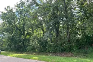 202 Lake Thunderbird Dr, Putnam, IL 61560 - Photo 1