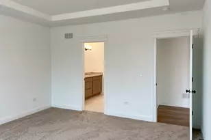 26420 Bluebell Ct, Channahon, IL 60410 - Photo 19