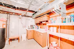 204 Kellerhal Dr, Cissna Park, IL 60924 - Photo 47