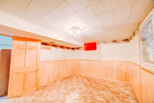 204 Kellerhal Dr, Cissna Park, IL 60924 - Photo 43