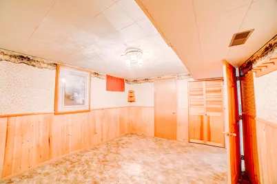 204 Kellerhal Drive, Cissna Park, IL 60924 - Photo 41