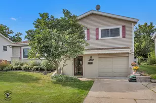 8838 Oakwood Dr, Hickory Hills, IL 60457 - Photo 1