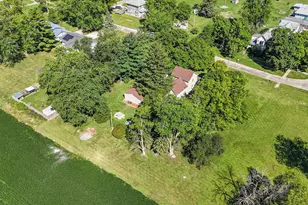 221 E 5th Ave, Rankin, IL 60960 - Photo 41