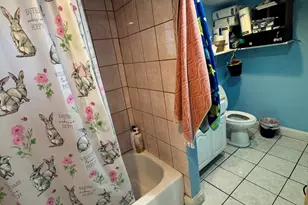 5015 N Kimberly Ave, Chicago, IL 60630 - Photo 31