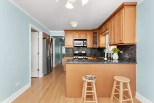 4567 N Merrimac Ave, Chicago, IL 60630 - Photo 17