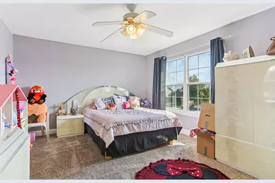 25804 S Daffodil Lane, Monee, IL 60449 - Photo 13