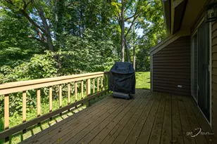 106 Walnut Hill Dr, Galena, IL 61036 - Photo 9