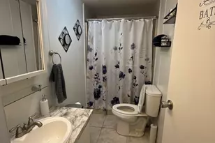 746 Chapparel Terrace, Matteson, IL 60443 - Photo 11