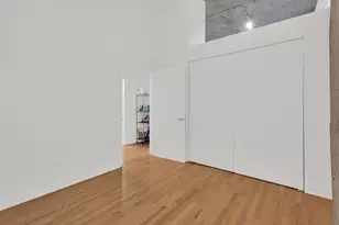 320 E 21st St, Chicago, IL 60616 - Photo 21