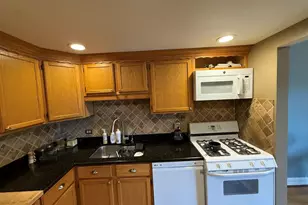 1463 Mercury Dr, Schaumburg, IL 60193 - Photo 7