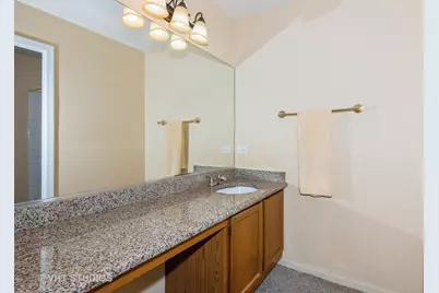 226 Sierra Pass Drive, Schaumburg, IL 60194 - Photo 19