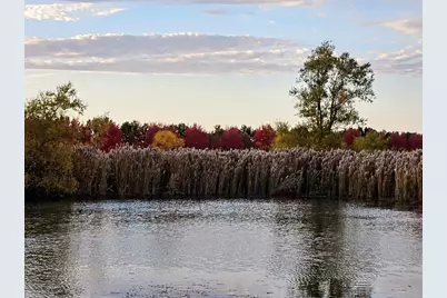 1340 E 2700 North Road, Ashkum, IL 60911 - Photo 77