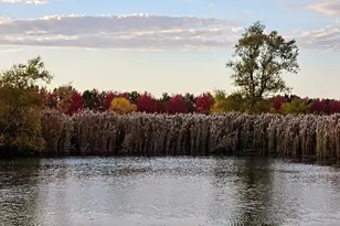 1340 E 2700 North Rd, Ashkum, IL 60911 - Photo 77