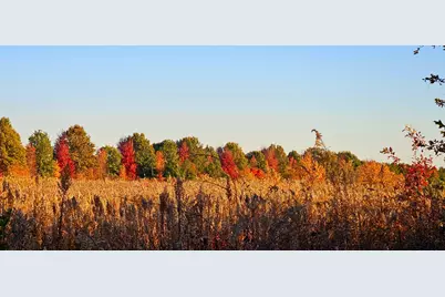1340 E 2700 North Road, Ashkum, IL 60911 - Photo 81