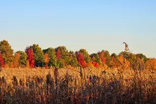 1340 E 2700 North Rd, Ashkum, IL 60911 - Photo 81