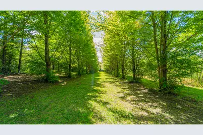 1340 E 2700 North Road, Ashkum, IL 60911 - Photo 9