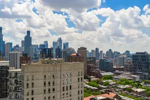 1030 N State St, Chicago, IL 60610 - Photo 7