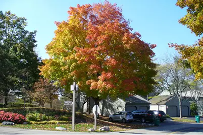 660 Old Barn Road #F-24, Lake Barrington, IL 60010 - Photo 53