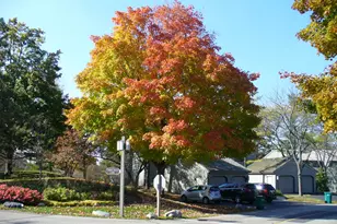 660 Old Barn Rd, Lake Barrington, IL 60010 - Photo 53