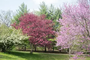 1131 4th Ave, Dixon, IL 61021 - Photo 3