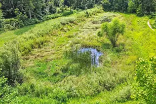 1131 4th Ave, Dixon, IL 61021 - Photo 67