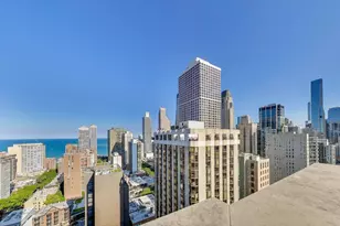 1122 N Dearborn St, Chicago, IL 60610 - Photo 39