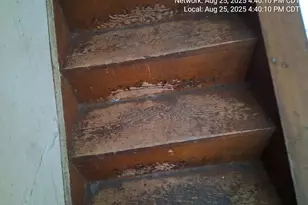 2654 W 98th Pl, Evergreen Park, IL 60805 - Photo 37