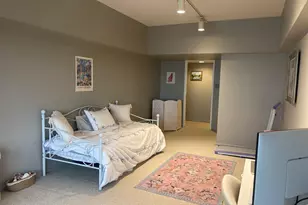 175 E Delaware Pl, Chicago, IL 60611 - Photo 19