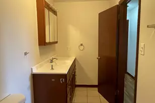 307 S Walnut St, Glenwood, IL 60425 - Photo 11