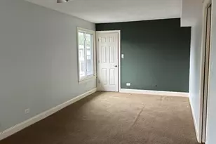 15817 Orlan Brook Dr, Orland Park, IL 60462 - Photo 15