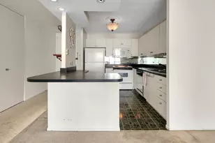 405 N Wabash Ave, Chicago, IL 60611 - Photo 5