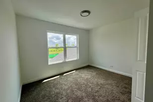 3572 Alpha St, Lynwood, IL 60411 - Photo 17