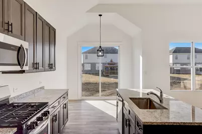 20777 Elwood Street, Lynwood, IL 60411 - Photo 21