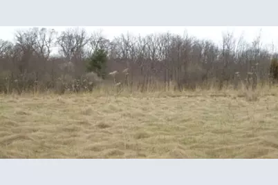 1551 W Longwood Drive, Woodstock, IL 60098 - Photo 3