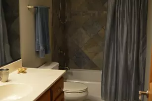 2861 Meadow Path, New Lenox, IL 60451 - Photo 39