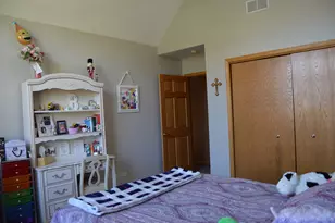 2861 Meadow Path, New Lenox, IL 60451 - Photo 37