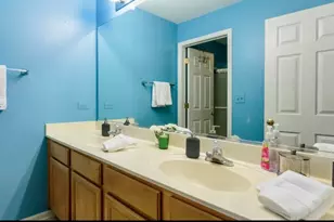 671 Wintergreen Cir, Naperville, IL 60540 - Photo 13