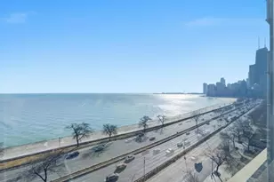 1440 N Lake Shore Dr, Chicago, IL 60610 - Photo 17