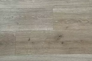 709 N Abbey Rd, Urbana, IL 61802 - Photo 5